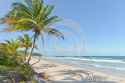 Spectacular and impressive paradise beach at the Itacare Stock Photo