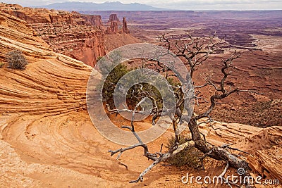 Spectacular landscapes of Canyonlands National park in Utah, USA Stock Photo