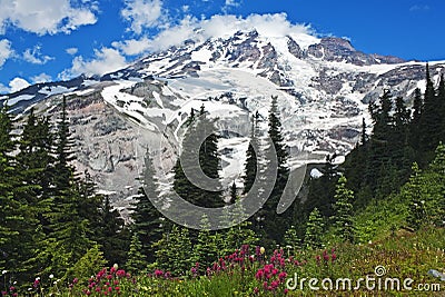 Spectacular Mt. Rainier with wildflowers Stock Photo