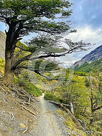 The spectacular trail to Chileno basecamp Stock Photo