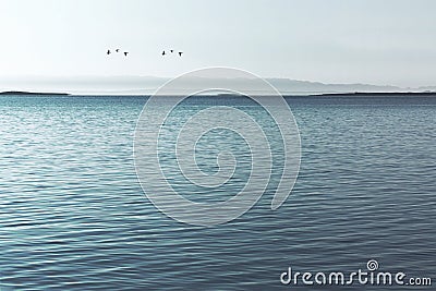 Spectacular view of an immense ocean Stock Photo