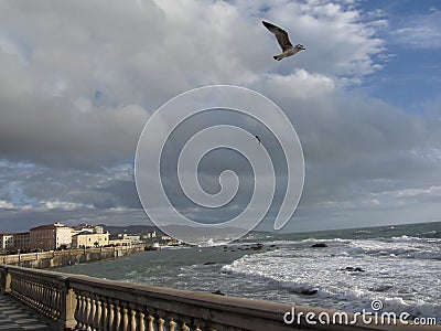 Spectacular view of Mascagni terrace in a cloudy day during winter . Livorno, Tuscany - Italy Stock Photo