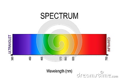 Spectrum. visible light, infrared, and ultraviolet. electromagnetic radiation Vector Illustration