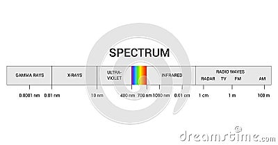 Spectrum wavelength. Visible spectrum color range. Educational physics light line. Invisible parts of the spectrum of Vector Illustration