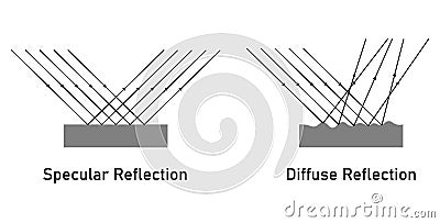 Specular and diffuse reflection diagram. Scientific vector illustration isolated on white background. Vector Illustration