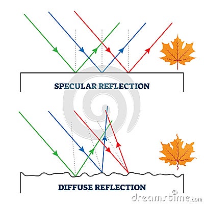 Specular and diffuse reflection, vector illustration diagram Vector Illustration