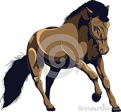 Speeding horse Stock Photo