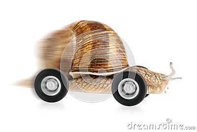 Speedy snail on wheels Stock Photo