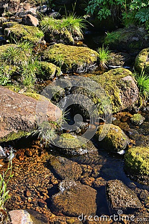 Spells of Norwegian mountain rivers, Norway Stock Photo