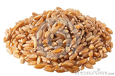 Spelt, farro, einkorn hulled wheat pile, paths Stock Photo