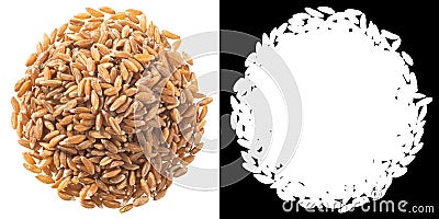 Spelt, farro, einkorn hulled wheat pile, paths, top Stock Photo