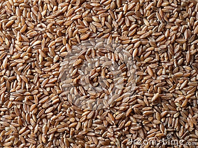 Spelt seeds as food background Stock Photo