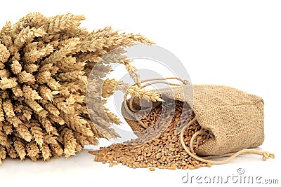 Spelt Wheat Stock Photo