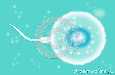 Sperm cell fertilizing egg Stock Photo