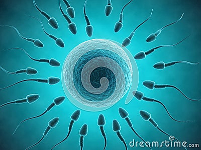 Sperm and egg Cartoon Illustration