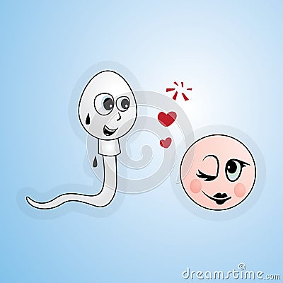 Sperm and Egg Stock Photo