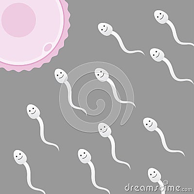 Sperm and Egg Vector Illustration