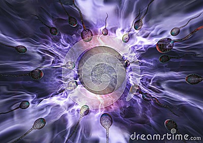 Sperm and egg Stock Photo