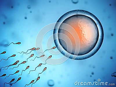 Sperm and egg cell Cartoon Illustration