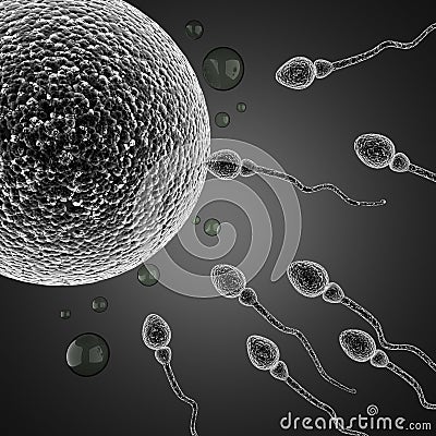 Sperm and egg cell. microscopic Stock Photo