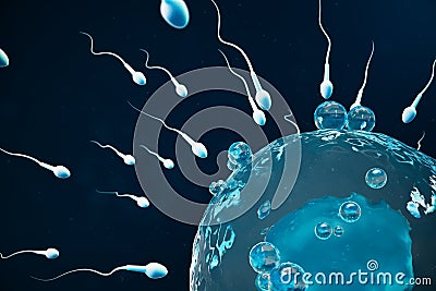 Sperm and egg cell, ovum. Native and natural fertilization - close-up view. Conception the beginning of a new life Cartoon Illustration