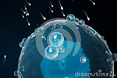 Sperm and egg cell, ovum. Native and natural fertilization - close-up view. Conception the beginning of a new life Cartoon Illustration