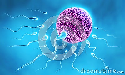 Sperm and Egg Cartoon Illustration