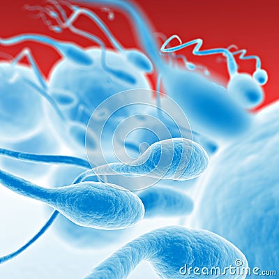 Sperm going for the egg Cartoon Illustration