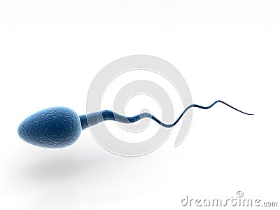 3d Human Sperm in white Background, Sperm cell Human reproduction Concept. Cartoon Illustration