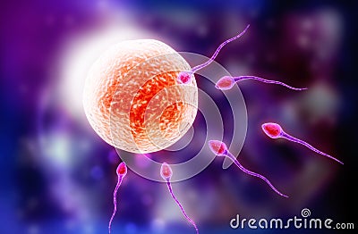 Sperm and ovule Cartoon Illustration