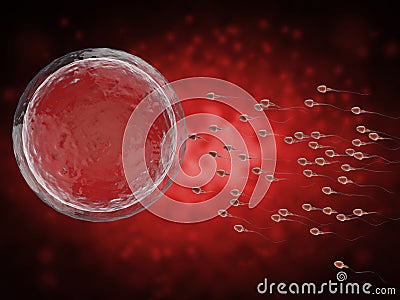 Sperm with ovum Stock Photo