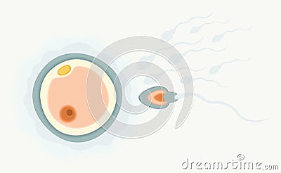 Sperm running to egg. Human fertility concept. Vector Illustration