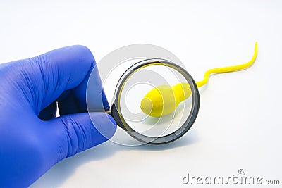 Sperm or semen test or analysis concept photo. Doctor, technician or scientist looks at model sperm cell through magnifying glass Stock Photo