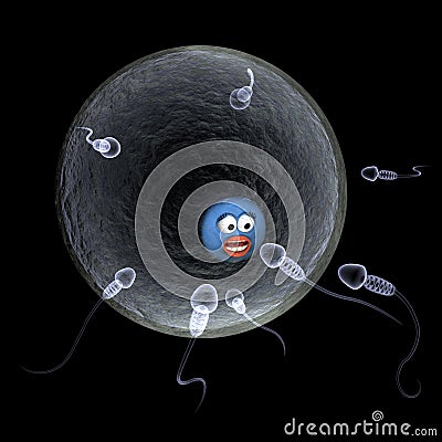 Sperm swimming towards a smiley egg Stock Photo