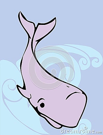 Sperm Whale Vector Illustration