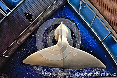 Sperm whale sculpture. Editorial Stock Photo