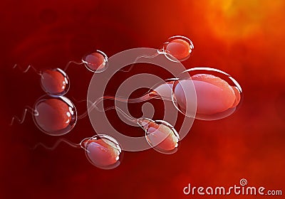 Spermatozoa rush to victory. Movement through the fallopian tubes Cartoon Illustration