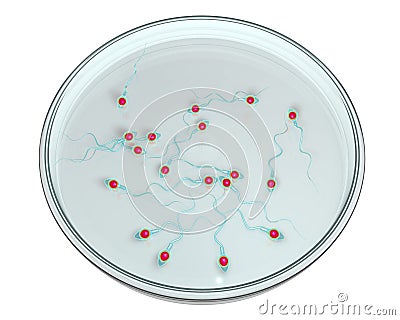 Spermatozoans in Petri dish, concept for artificial fertilization Cartoon Illustration