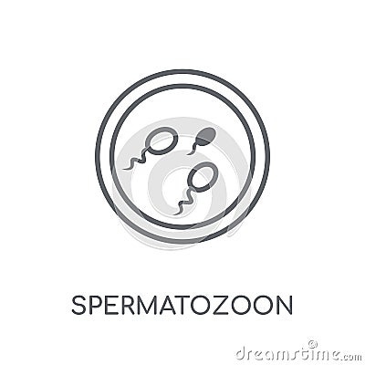 Spermatozoon linear icon. Modern outline Spermatozoon logo conce Vector Illustration