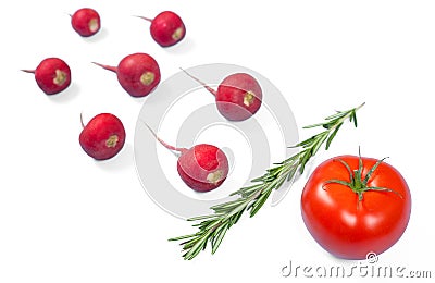 Spermatozoon swimming toward the egg isolated on white background. Human Sperm, crimson red radish, rosemary and red tomato Stock Photo