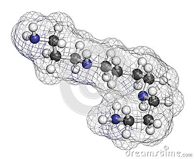 Spermine molecule. 3D rendering. Atoms are represented as spheres with conventional color coding: hydrogen (white), carbon (grey Stock Photo