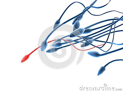 Sperms and human egg Stock Photo