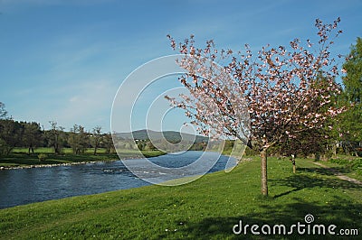 Spey valley in spring Stock Photo