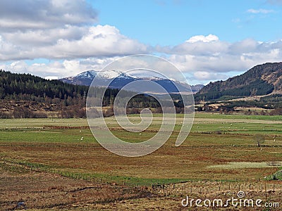 Spey valley, west of Laggan, Scotland in spring Stock Photo