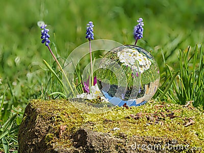Sphere, crystal ball, lens ball on moss covered stone with flower meadow Stock Photo