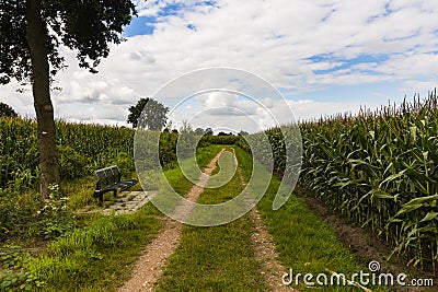 Hiking the GR5 trail in the Benelux Stock Photo