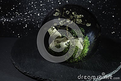 sphere terrarium with moss and a wire tree inside, on dark glittery background Stock Photo