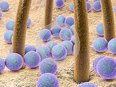 Spherical bacteria on skin with hairs Cartoon Illustration