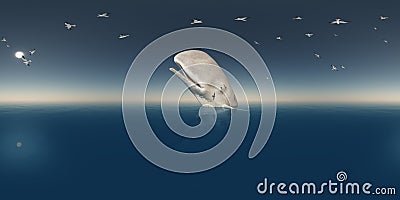 Spherical 360 degrees seamless panorama with sperm whale and seagulls Cartoon Illustration
