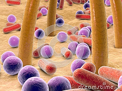 Spherical and rod-shaped bacteria on skin with hairs Cartoon Illustration